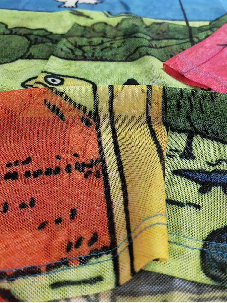 Sheer Mesh Tee Long Sleeve Blue with Raw Hem Pop Art