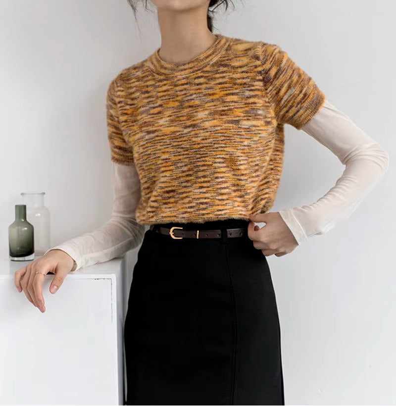 Mesh Shell Top Long Sleeves Round Neck Collar