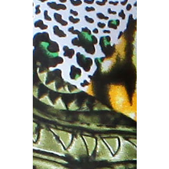 Leggings Leopard Pattern/Multi Print Full Length O/S GR/YL-Multi Color